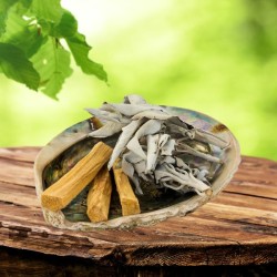 KIT Sauge blanche - Palo Santo & Abalone -  Jiri friends - Smudge