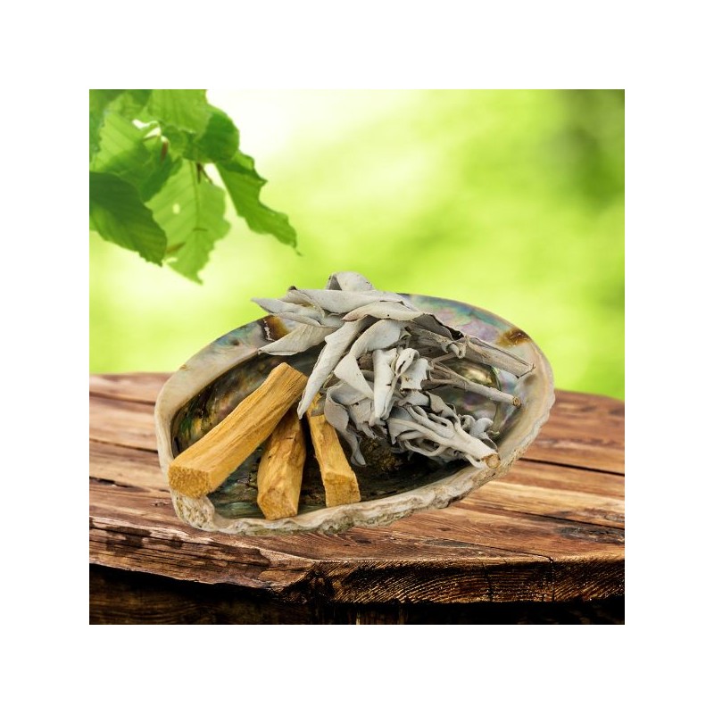 KIT Sauge blanche - Palo Santo & Abalone -  Jiri friends - Smudge