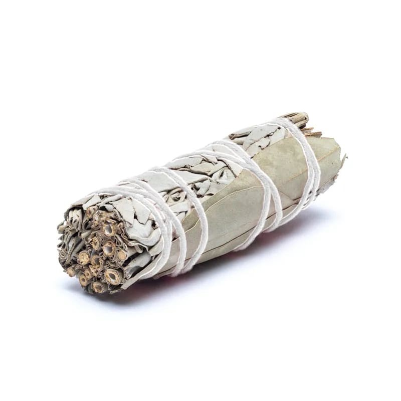Sauge blanche & Eucalyptus-  kit de 2 Fagots bâtons