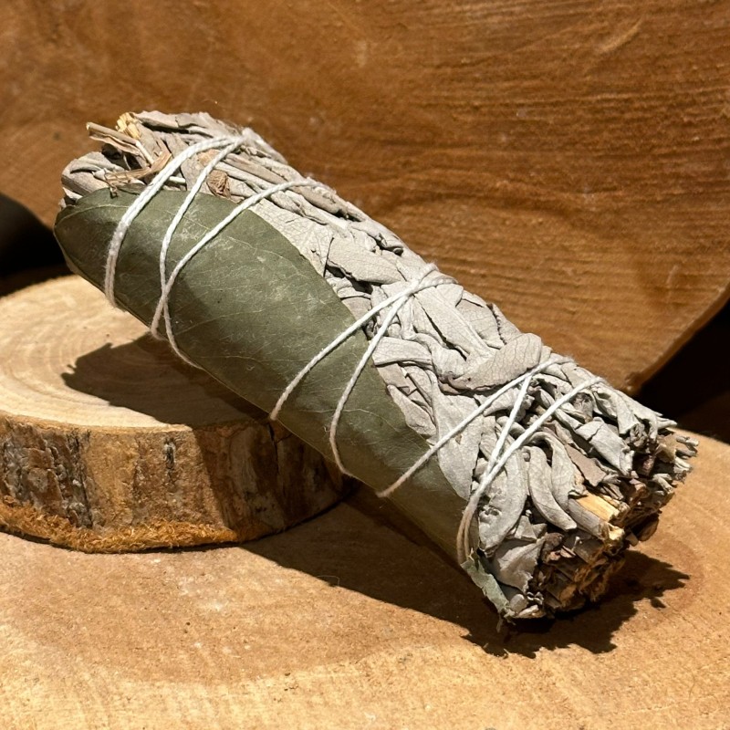 Sauge blanche & Eucalyptus-  Fagot bâton - +/- 10 cm - smudge