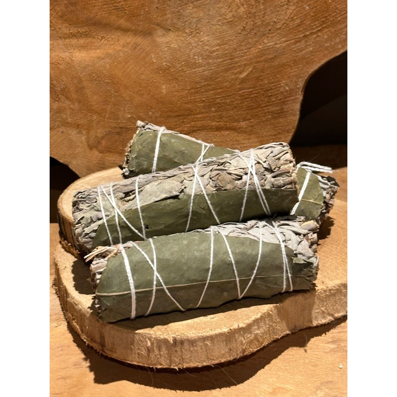 Sauge blanche & Eucalyptus-  Fagot bâton - +/- 10 cm - smudge
