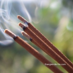 Jasmin encens - stick - 15 grs - Satya