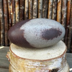 Shiva Lingam (7 à 8 cm) – Pierre sacrée de la Narmada (S0)