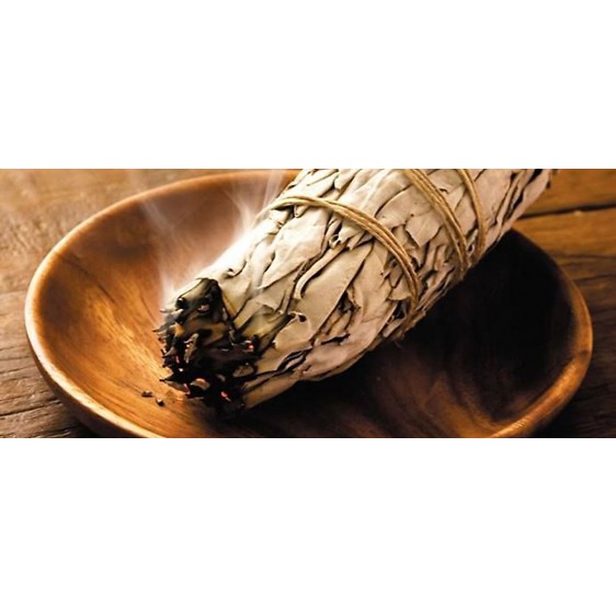 Sauge blanche baton - large - +/- 80 - 100 grs