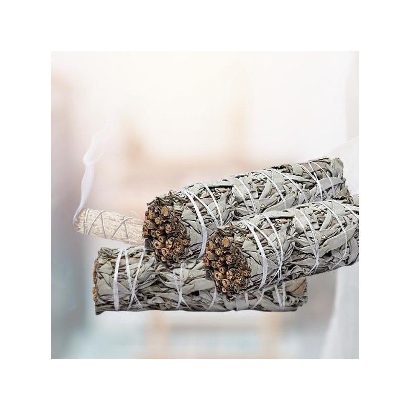 Sauge blanche Fagot Smudge - lot de 3 bâtons (30–40 g, 11 × 3 cm)