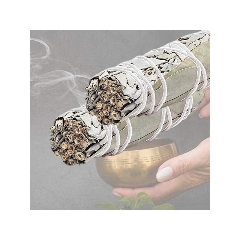 Sauge blanche & Eucalyptus-  kit de 2 Fagots bâtons - +/- 10 cm - smudge