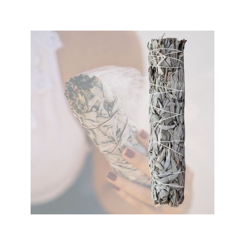 Sauge blanche Fagot baton - ±23x5.5 cm - XXL - smudge