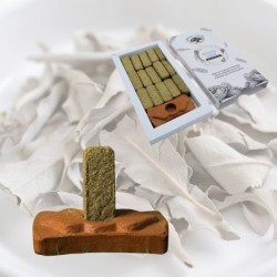 Brique de fumigation Sauge blanche avec support Green Tree.