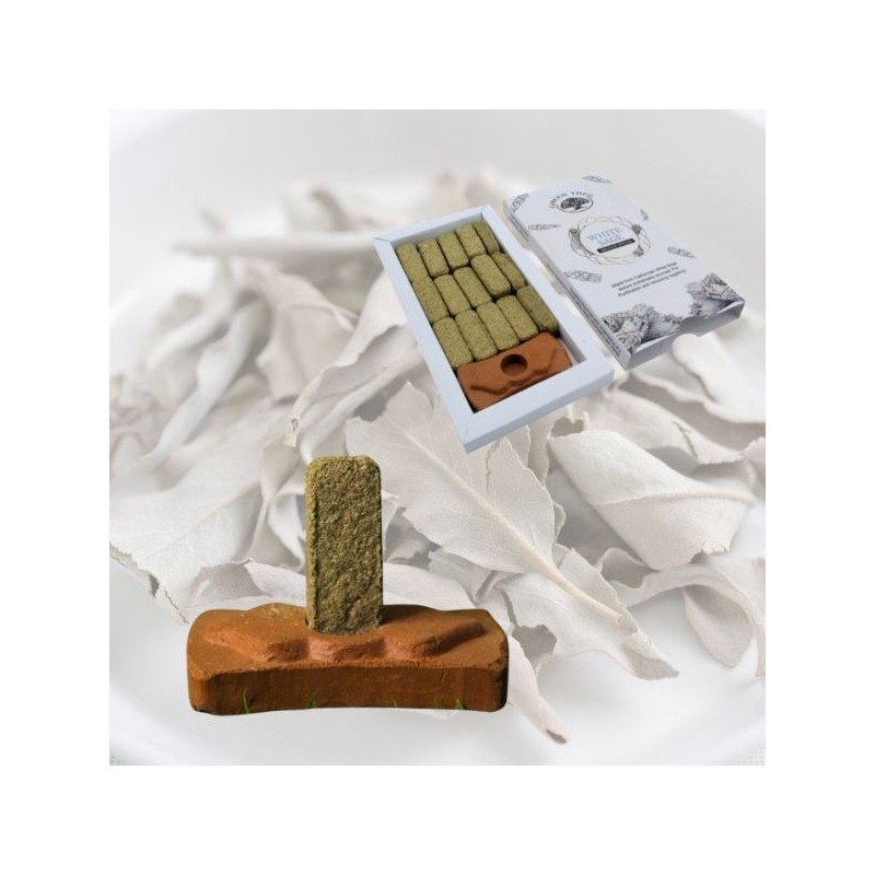 Brique de fumigation Sauge blanche avec support Green Tree.