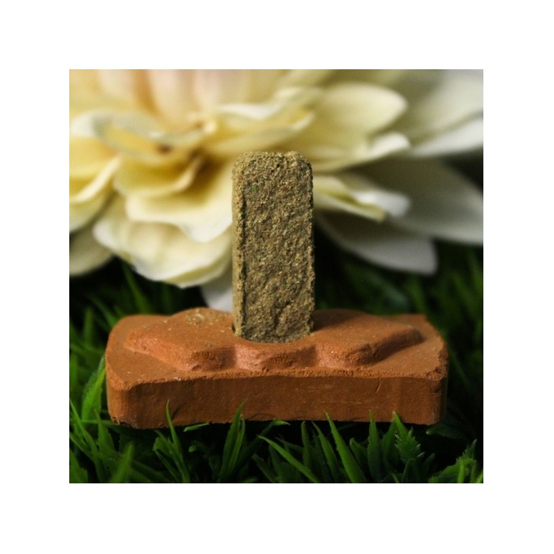 Brique de fumigation Sauge blanche avec support Green Tree.