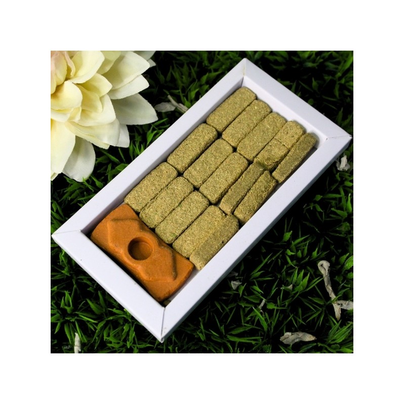 Brique de fumigation Sauge blanche avec support Green Tree.