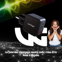 Chargeur avec mise à la terre intégrée - GaN 65W - Câble USB inclus - WICAYA