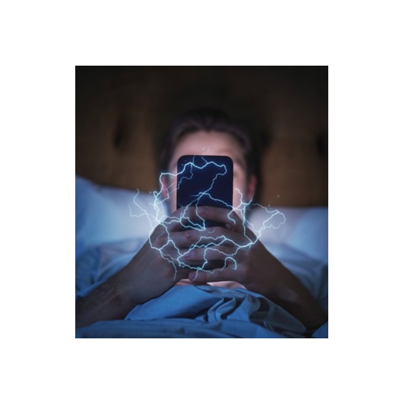 Chargeur avec mise à la terre intégrée - GaN 65W - Câble USB inclus - WICAYA