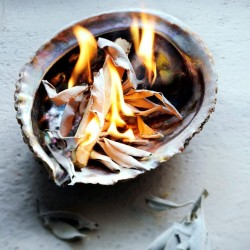 KIT Sauge blanche - Palo Santo & Abalone -  Jiri friends - Smudge