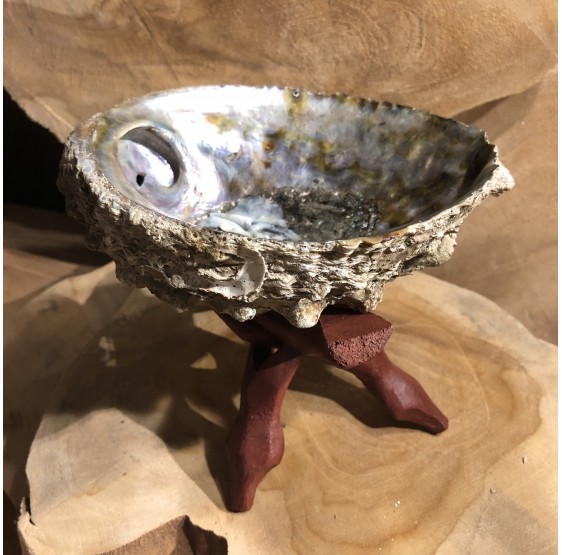 Coquillage Abalone pour smudge encens - avec ou sans support