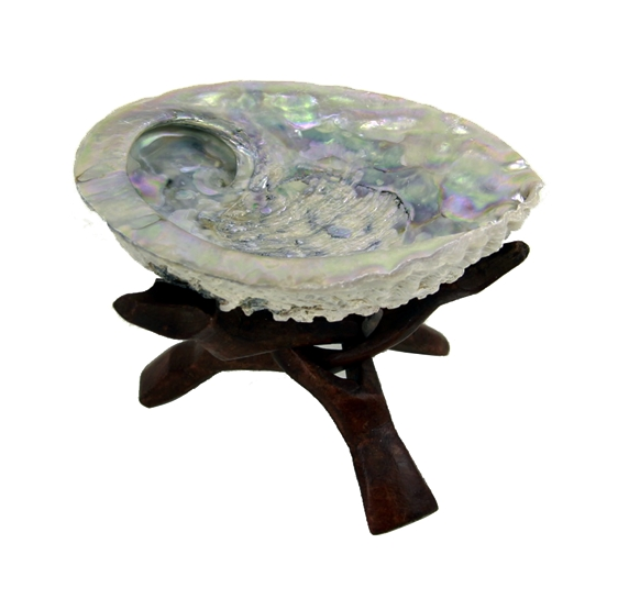 Coquillage Abalone pour smudge encens - avec ou sans support