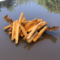 Palo Santo "bois sacré" sticks de bois FINS à brûler