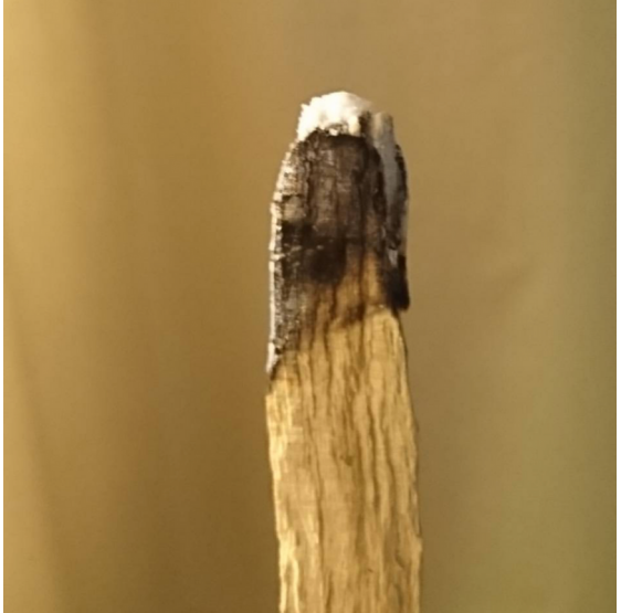 Palo Santo "bois sacré" sticks de bois FINS à brûler