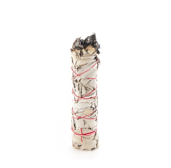 Sauge blanche baton - large - +/- 80 - 100 grs