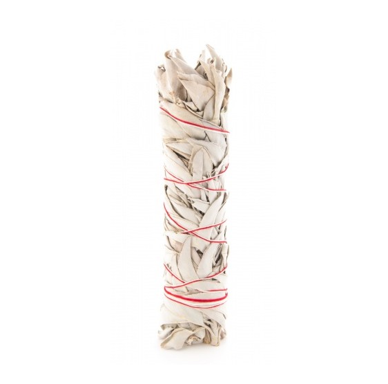 Sauge blanche baton - large - +/- 80 - 100 grs