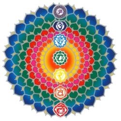 Chakras Lotus Healing en ligne - sunseal autocollant 14 cm