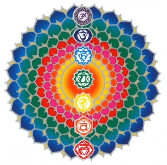 Chakras Lotus Healing en ligne - sunseal autocollant 14 cm