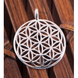 Pendentif Fleur de Vie en Argent 925 (bombé) - semence de vie