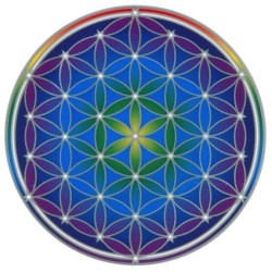 Fleur De Vie Sunseal Autocollant 14 Cm Energies De Vie