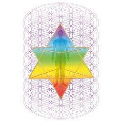 MERKABA - Fleur de Vie - autocollant