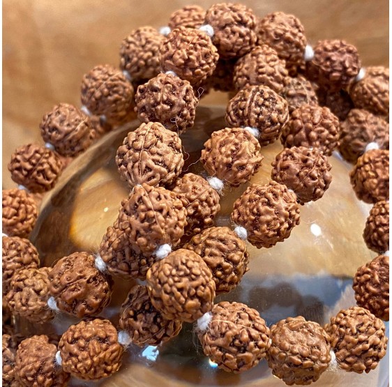 Mala Rudraksha Collier - 108 grains - large - collier - floche blanche