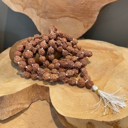 Mala Rudraksha Collier - 108 grains - large - collier - floche blanche