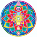 Autocollant - Chakras Lotus Healing en ligne - sunseal 14 cm