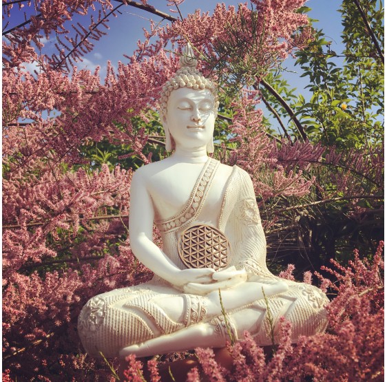 Bouddha en méditation - Thailande - blanc