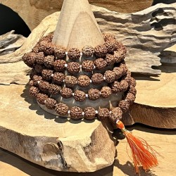 Mala Rudraksha Collier - 108 grains - large - collier - floche orange