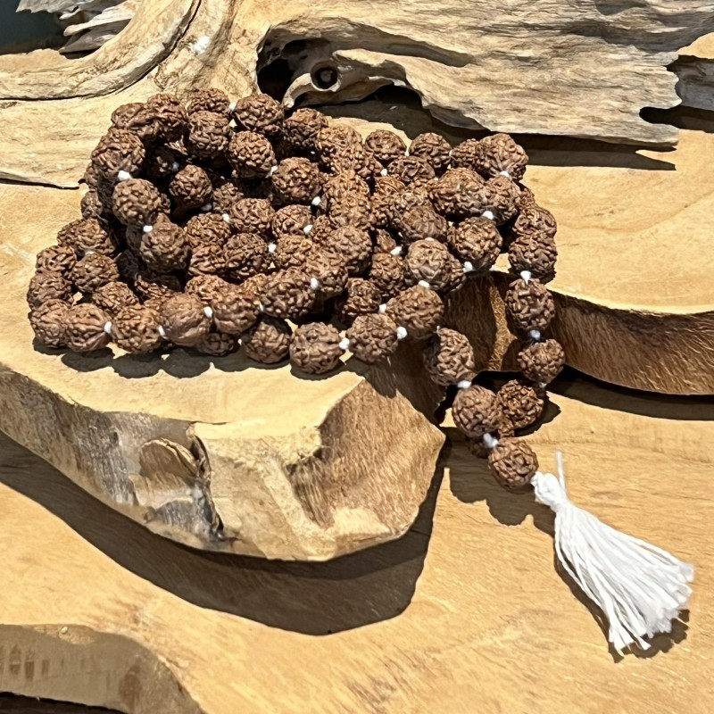 Mala Rudraksha Collier - 108 grains - large - collier - floche blanche