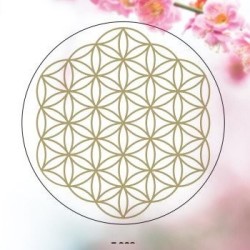 Autocollant OR 3 cm Fleur de vie détourée (feuillet de 4 autocollants) Transparent