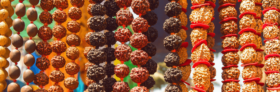 Rudraksha